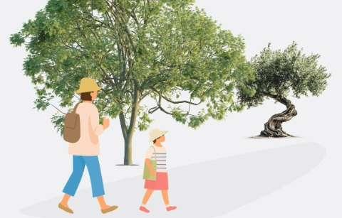 fiches-de-conseils-sur-les-allergenes-img18